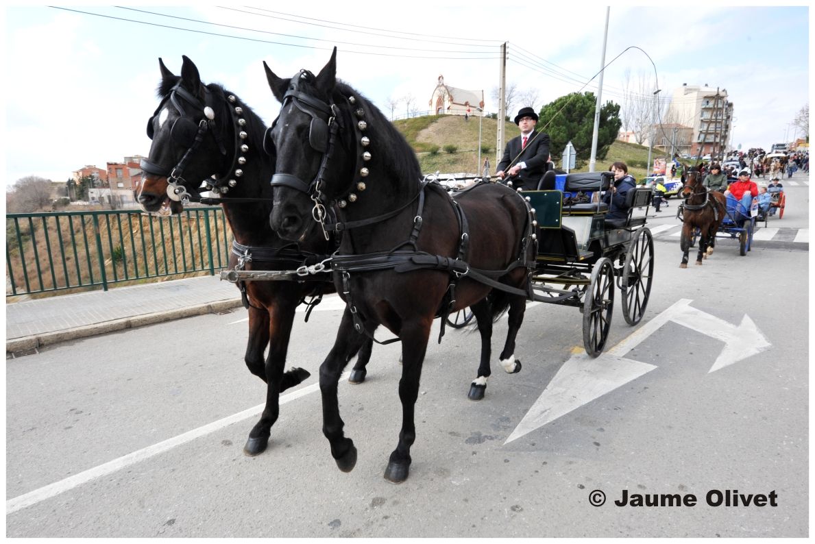 TT11_0318 � Jaume Olivet