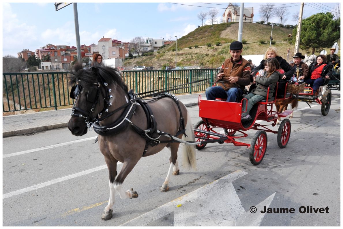 TT11_0319 � Jaume Olivet