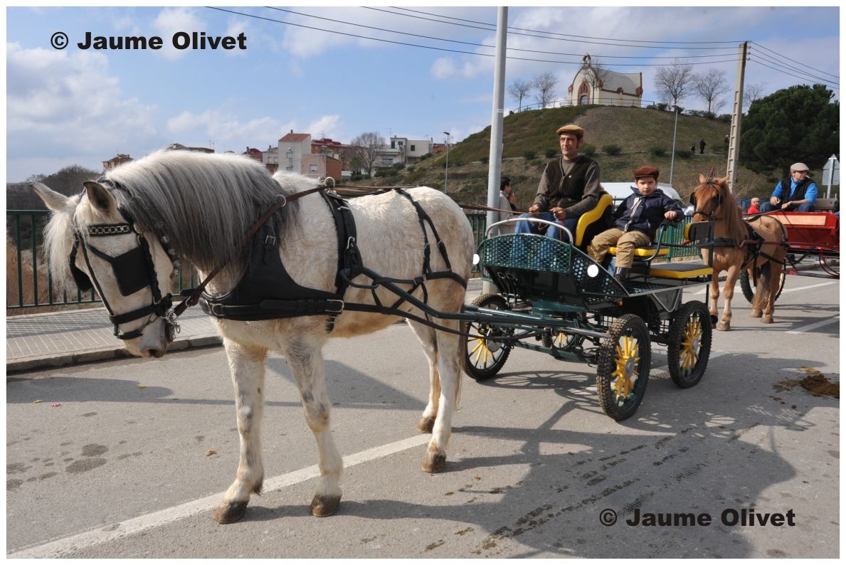 � Jaume Olivet