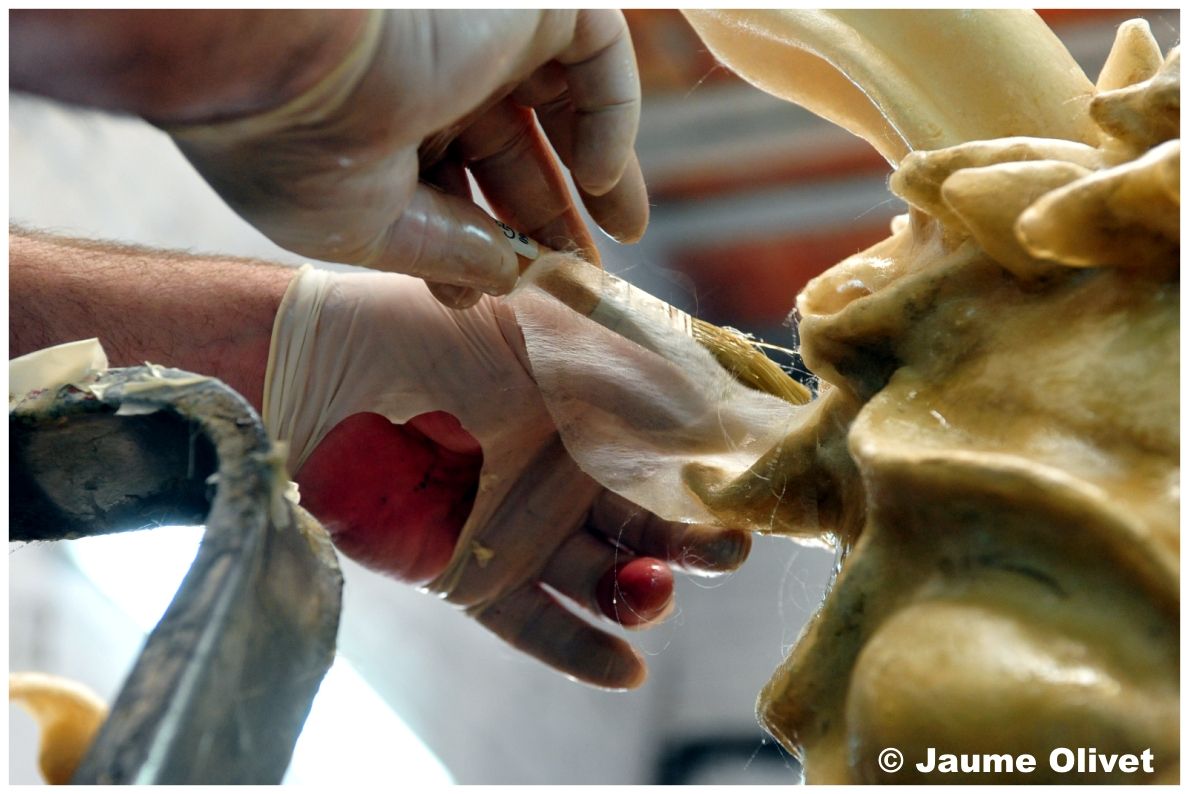 � Jaume Olivet 2012
