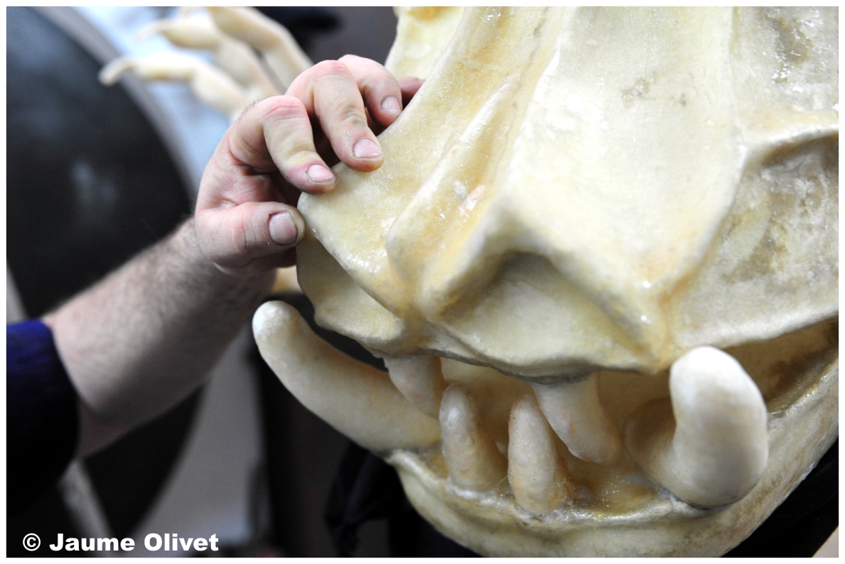 Bitxo3_0186 � Jaume Olivet