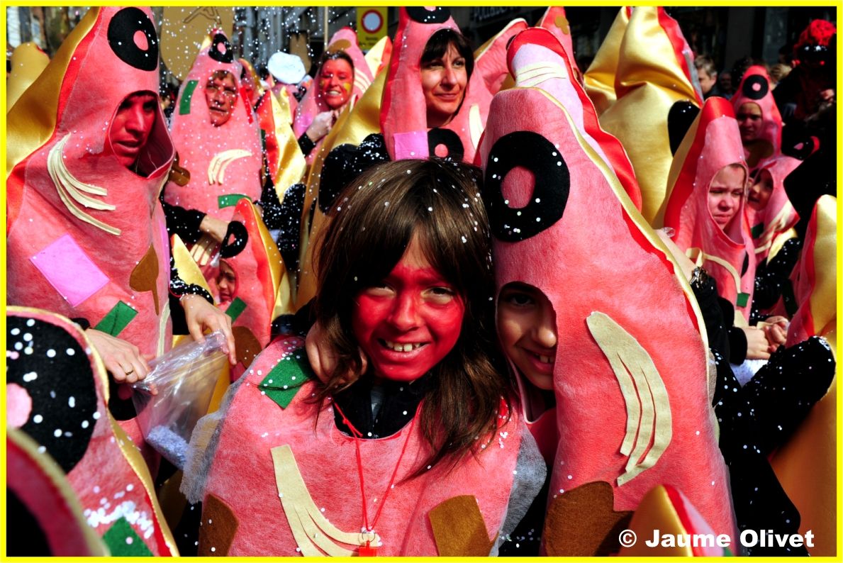 C2012_1205 � Jaume olivet