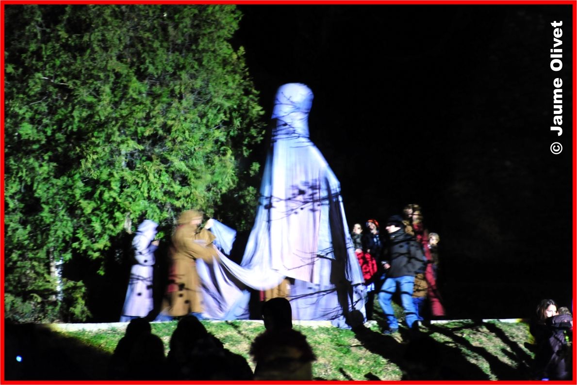 C2012_1613 � Jaume olivet