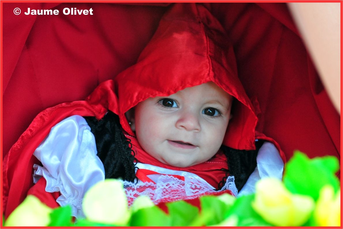 � Jaume olivet