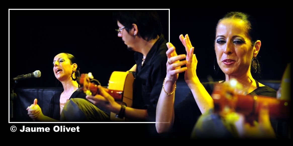 � Jaume Olivet 2012