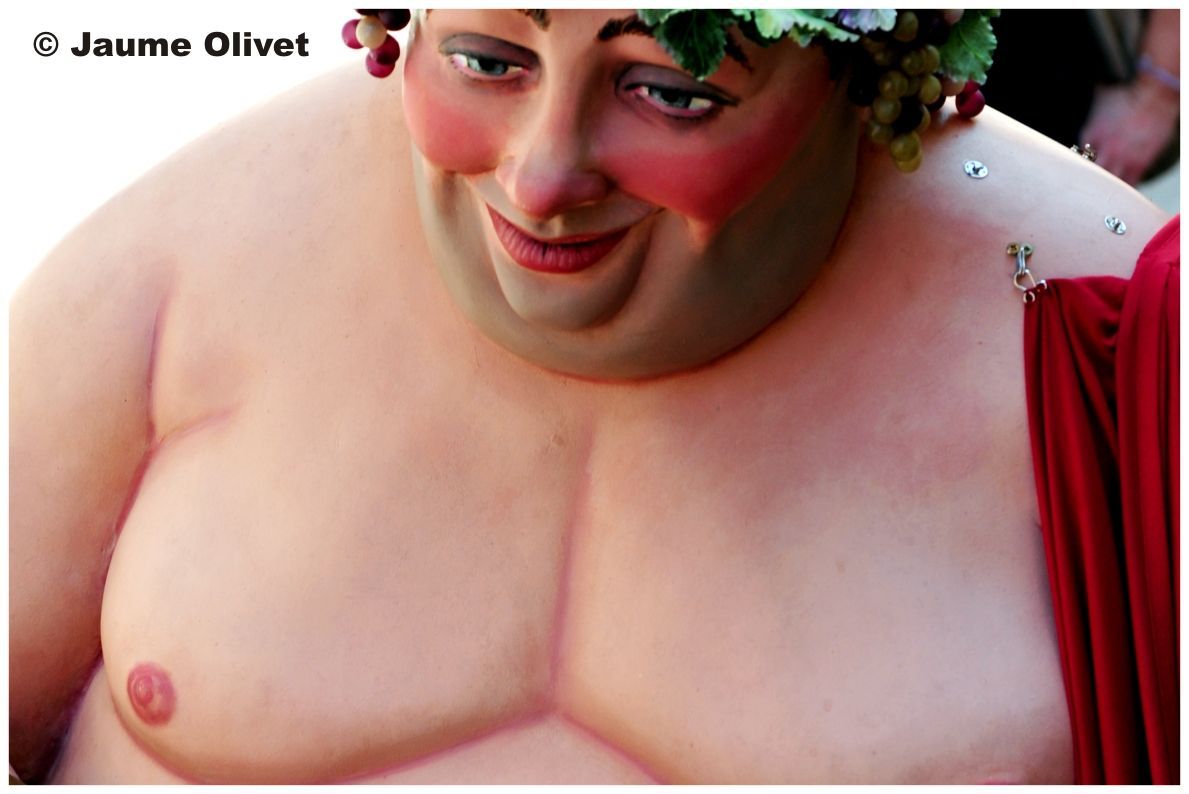  Jaume Olivet - gegants_060701
