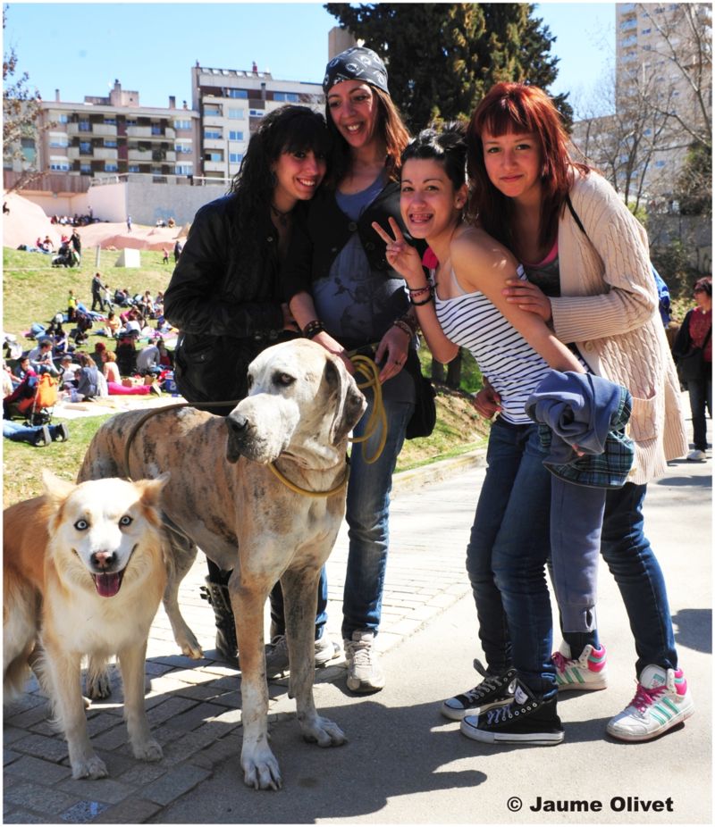 jazz2012_1911 � Jaume Olivet