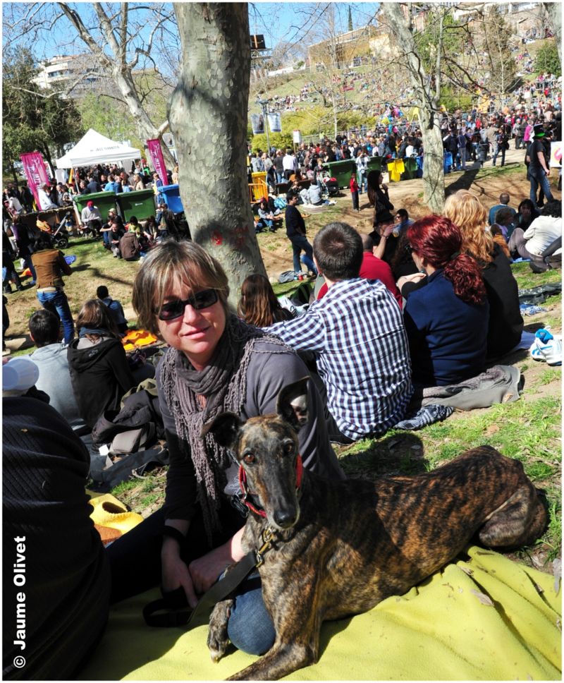 jazz2012_1912 � Jaume Olivet