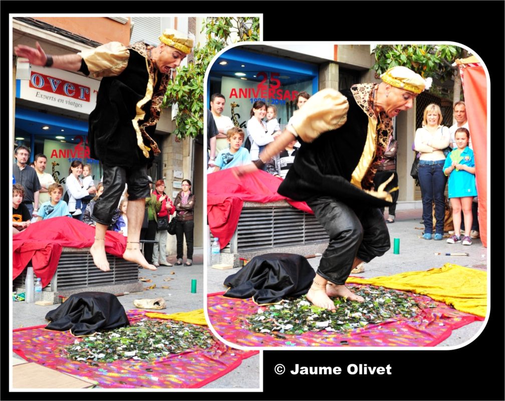 M2012_0208  Jaume Olivet
