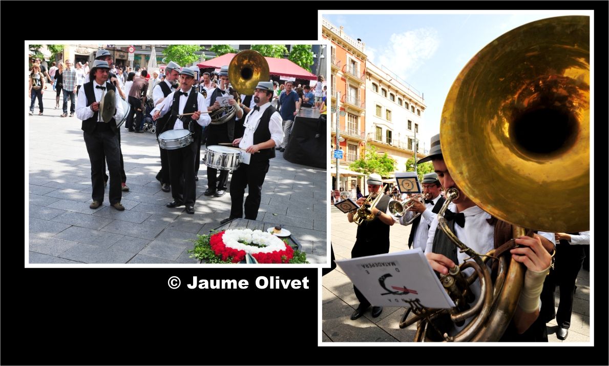 M2012_1705  Jaume Olivet