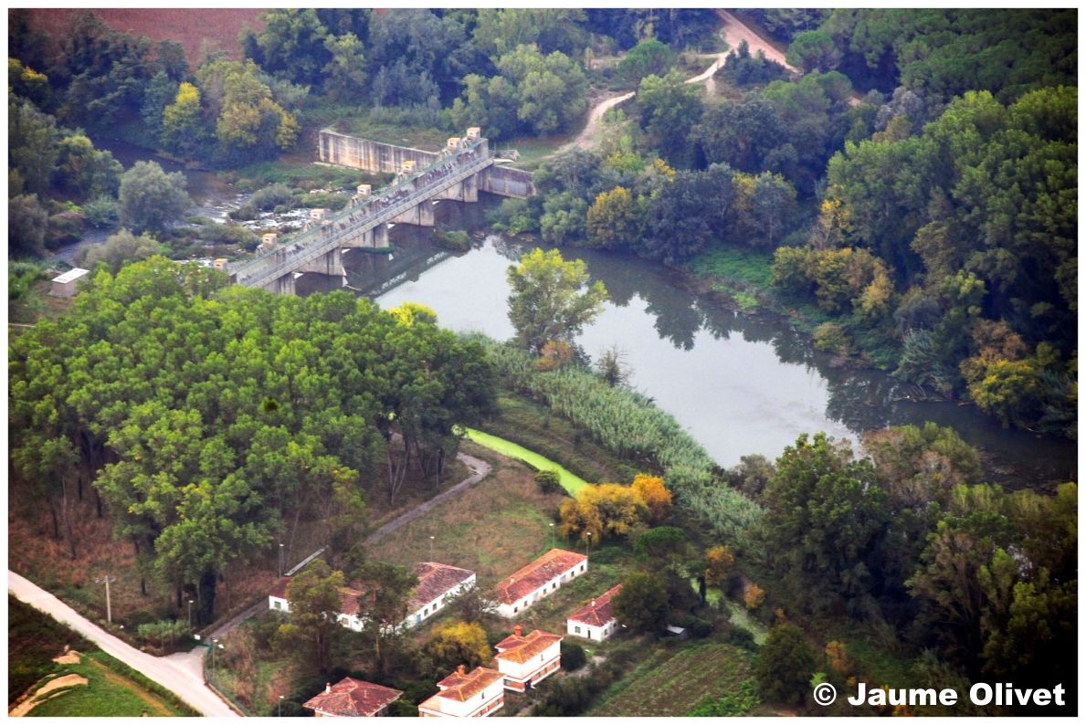 Globo_0411 © Jaume Olivet