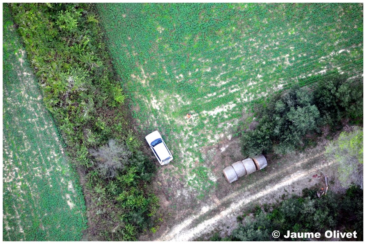 Globo_0508 � Jaume Olivet