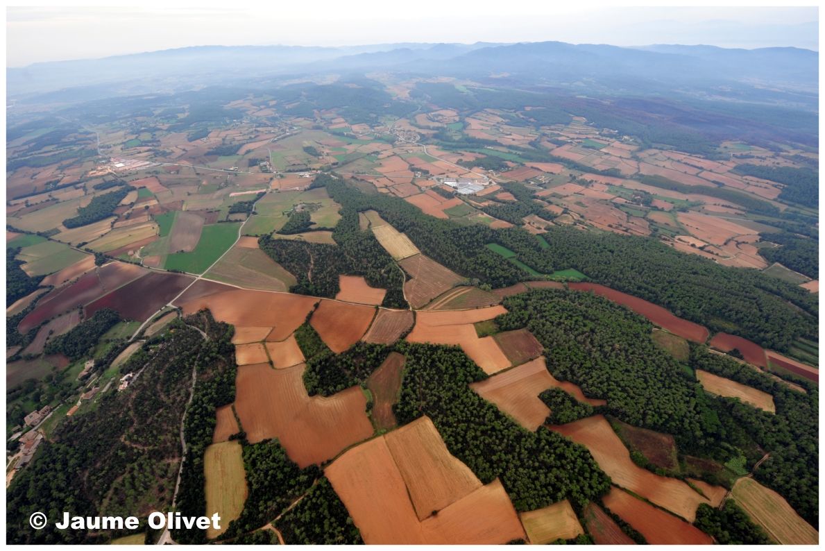 Globo_0607 � Jaume Olivet