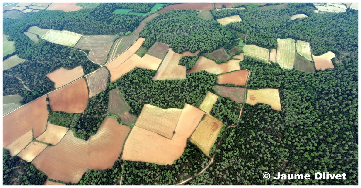 Globo_0612 � Jaume Olivet