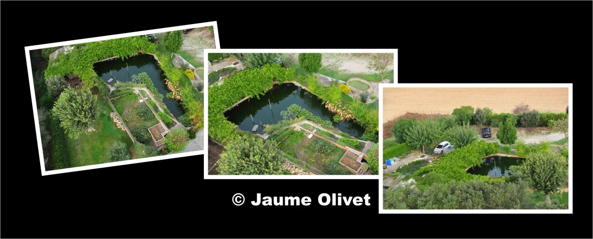 Globo_0811 � Jaume Olivet