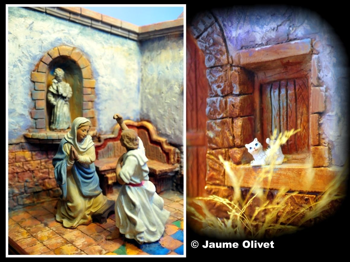SP2012_42  Jaume Olivet