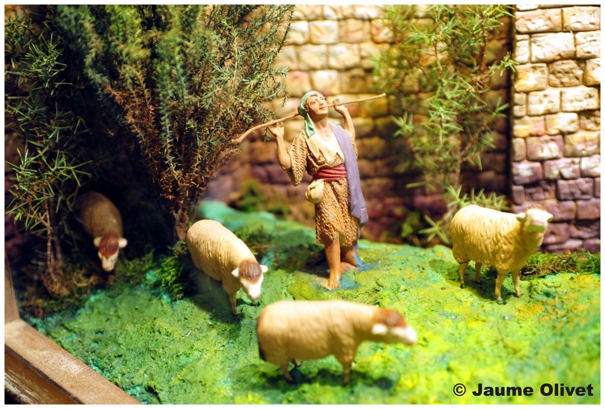SP2012_52  Jaume Olivet