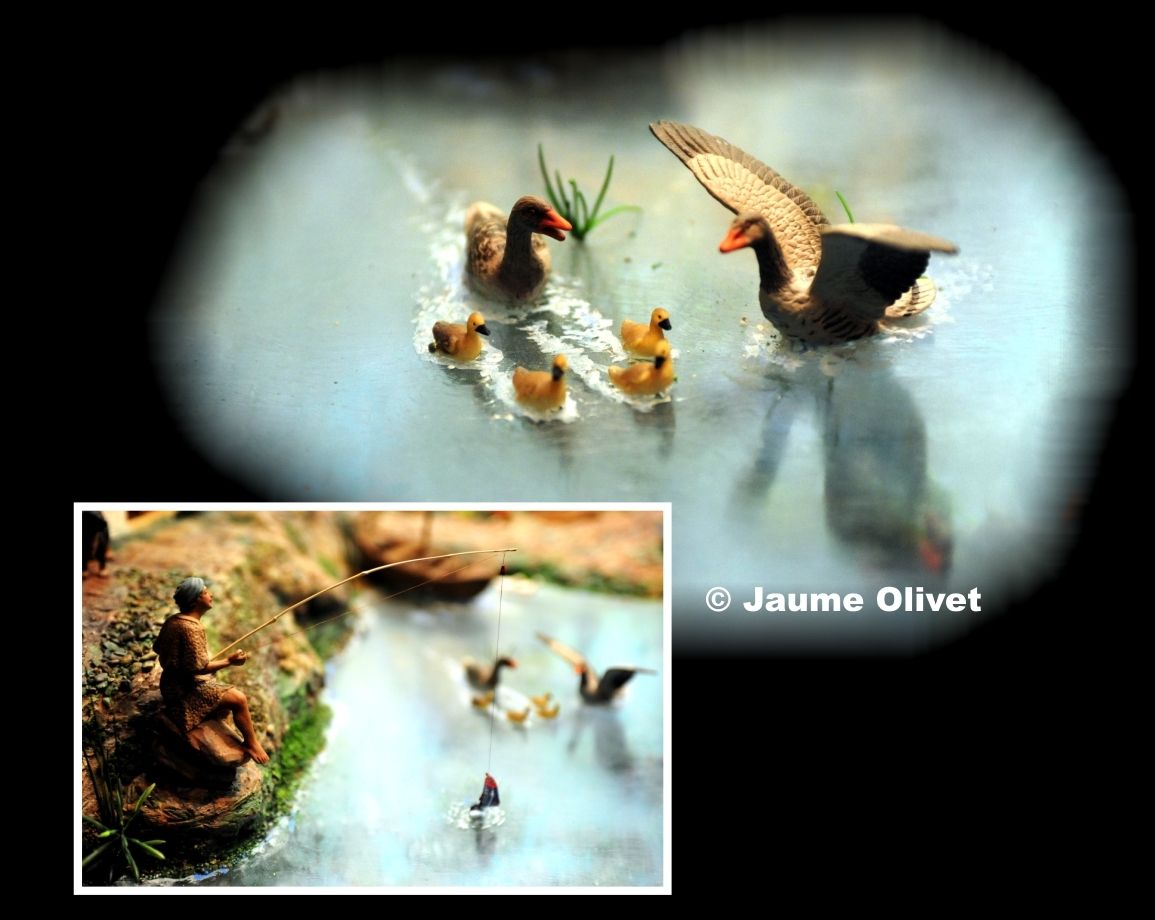 SP2012_73  Jaume Olivet