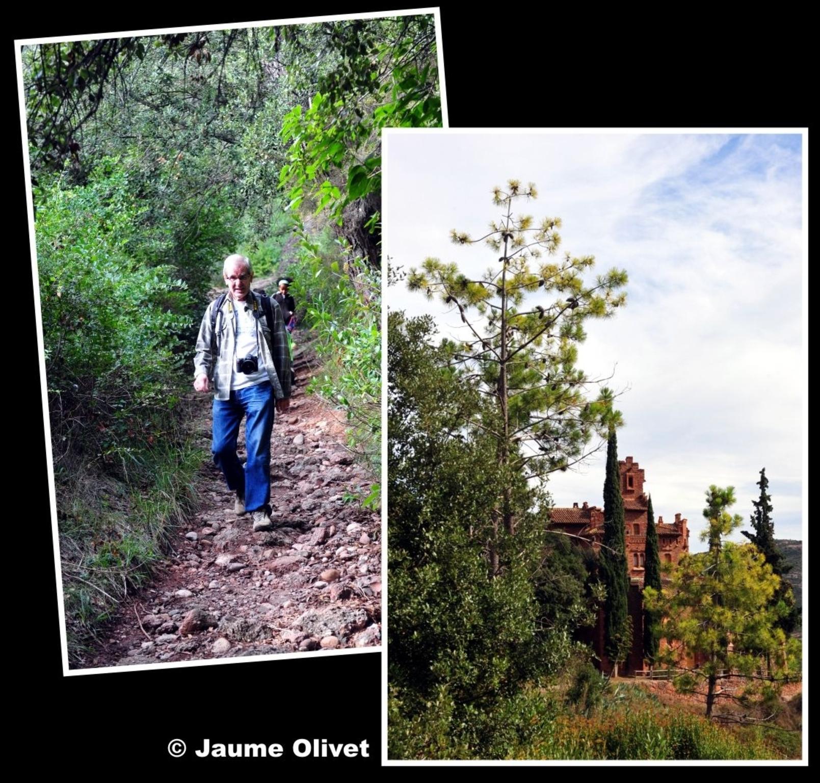  Jaume Olivet 2012