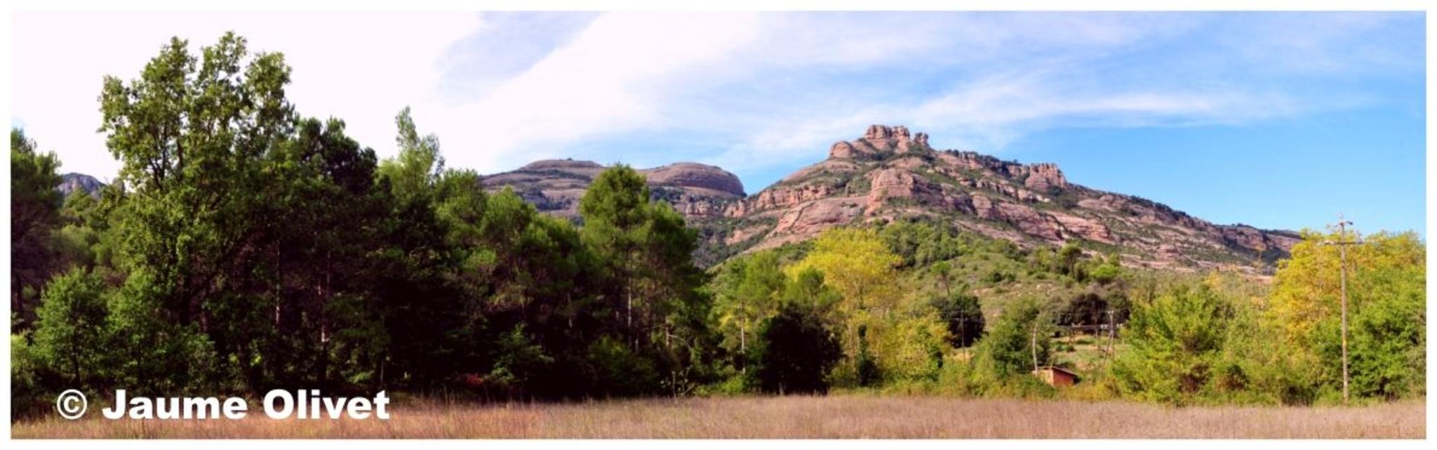 � Jaume Olivet 2012