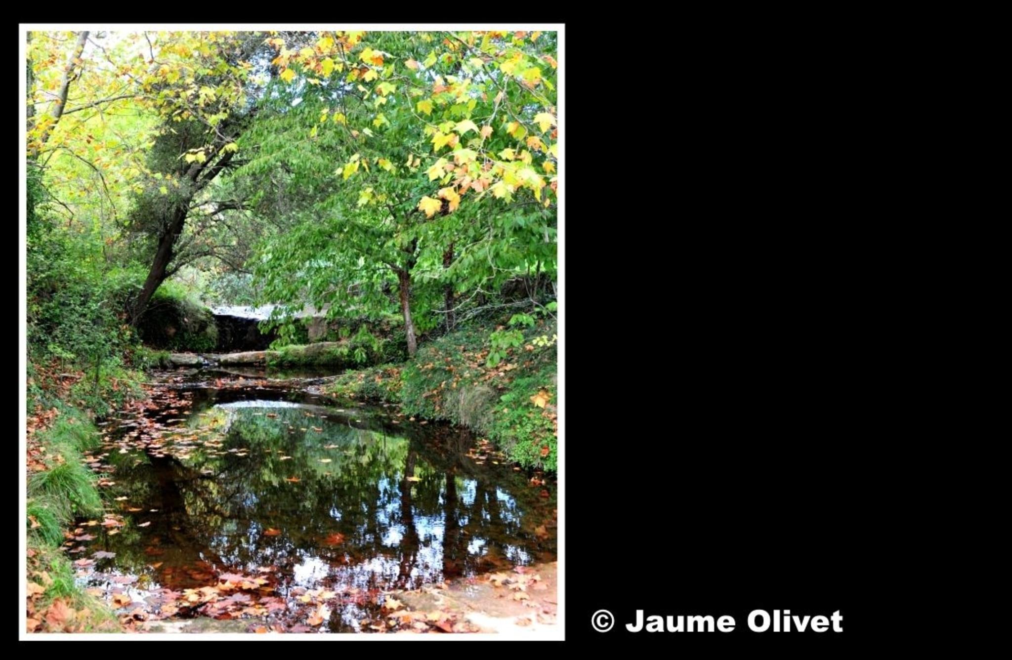 � Jaume Olivet 2012