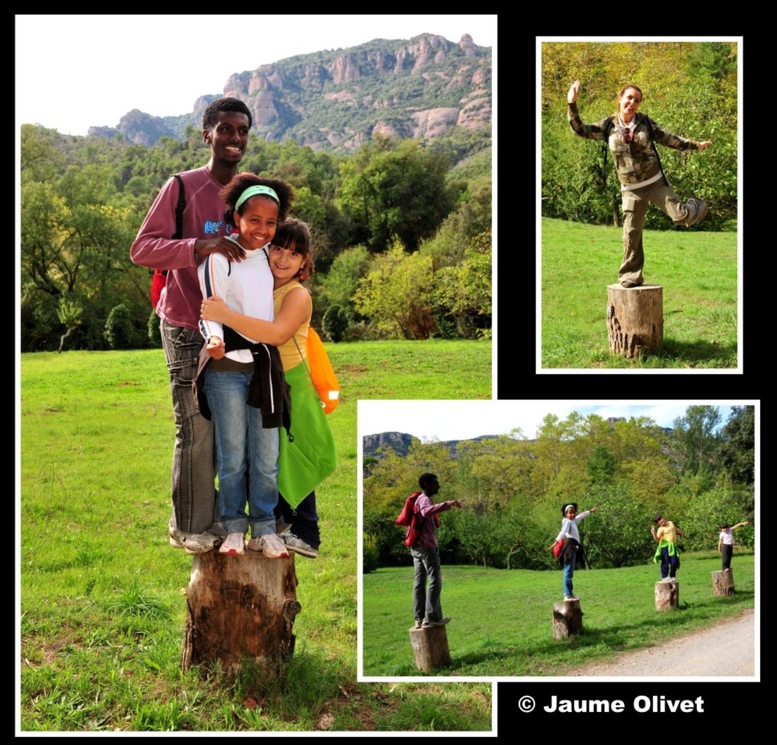 � Jaume Olivet 2012