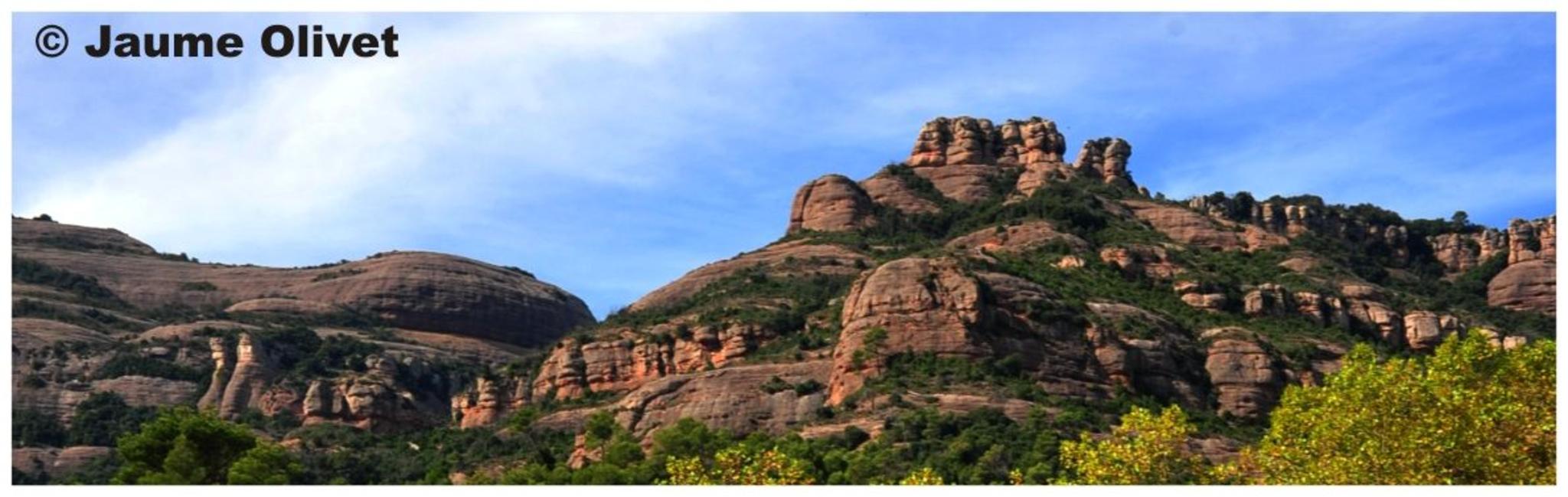 � Jaume Olivet 2012