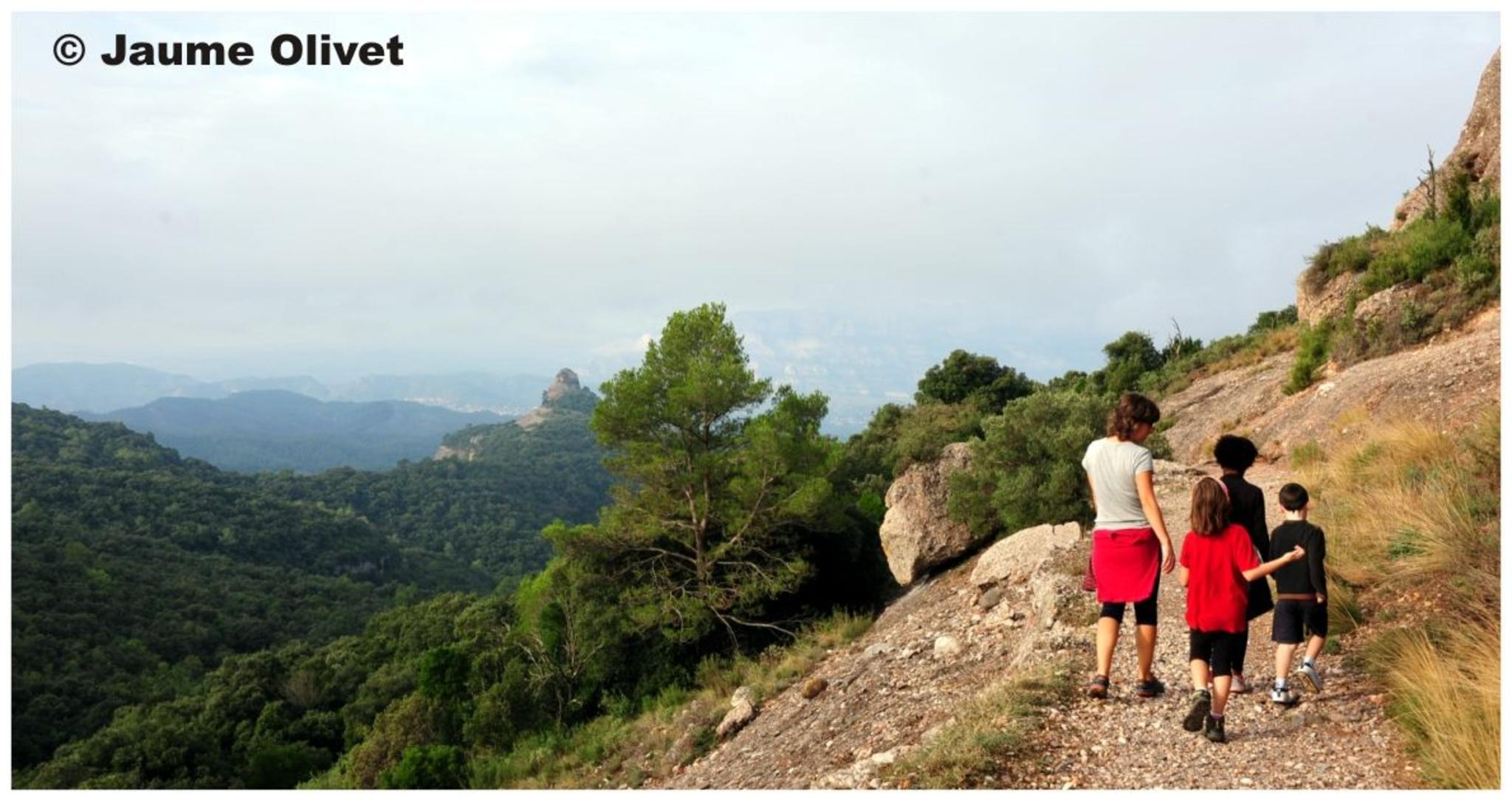 � Jaume Olivet 2012