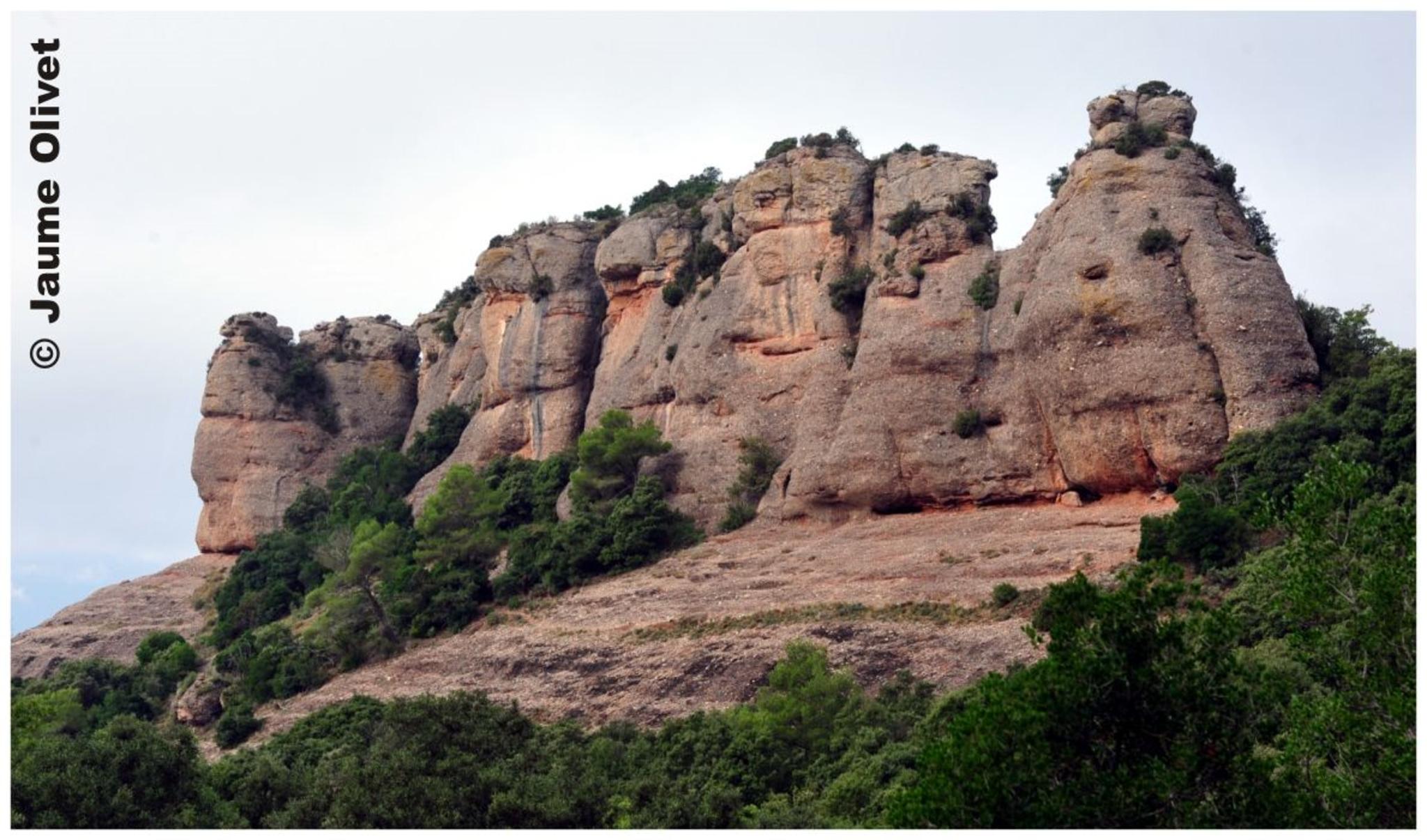 � Jaume Olivet 2012