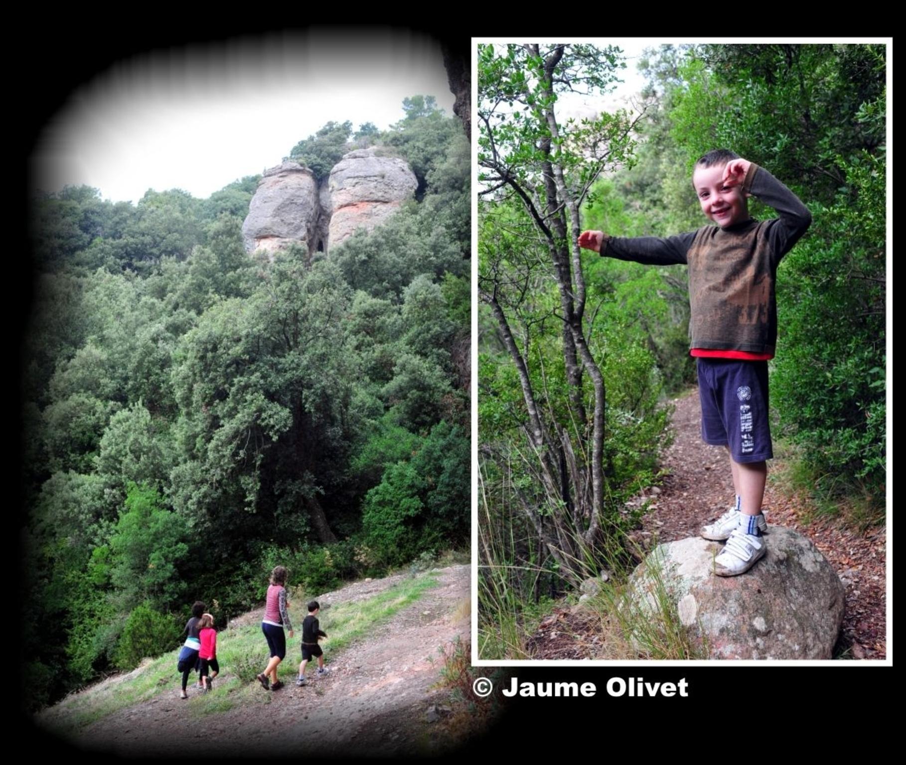 � Jaume Olivet 2012