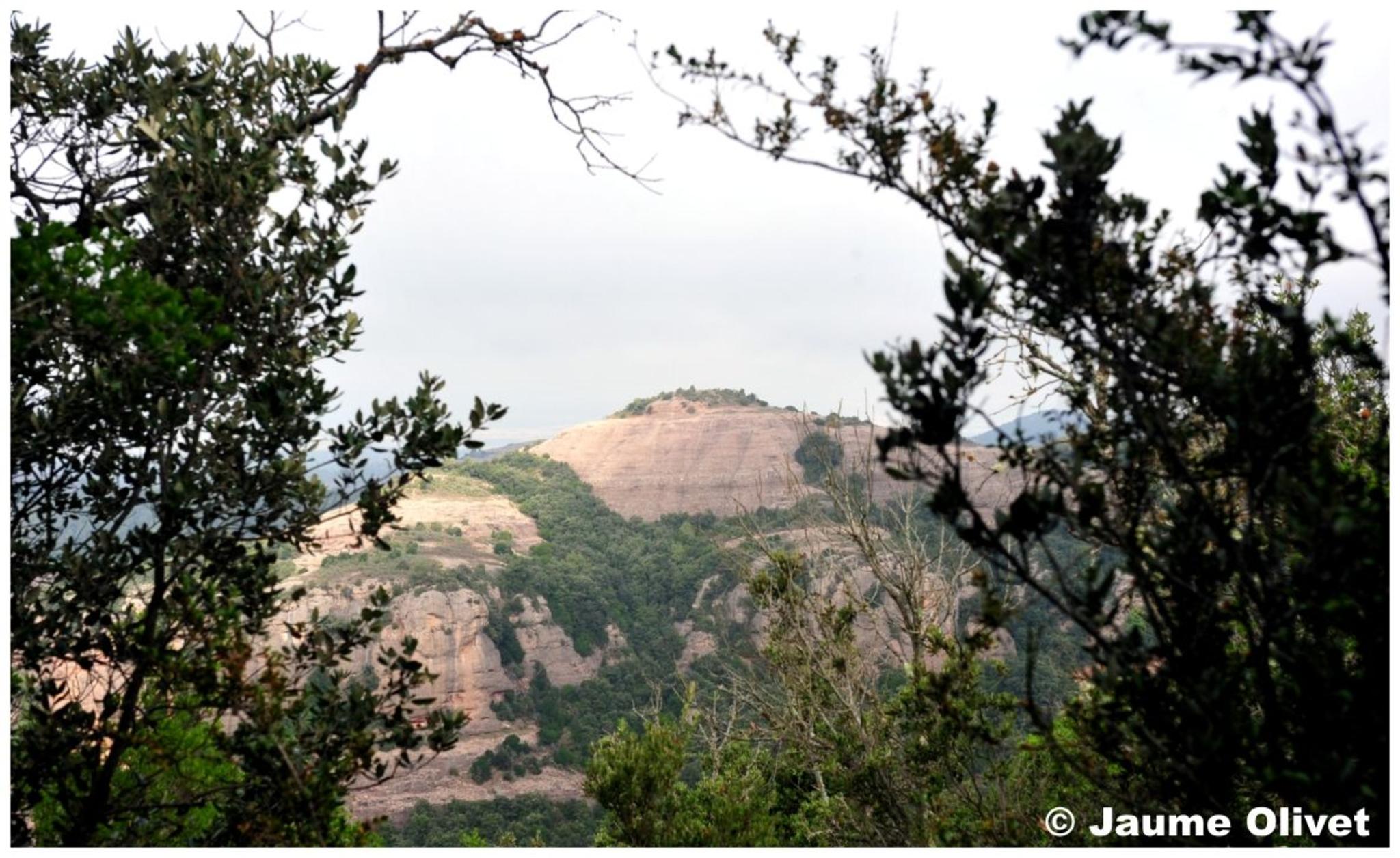 � Jaume Olivet 2012