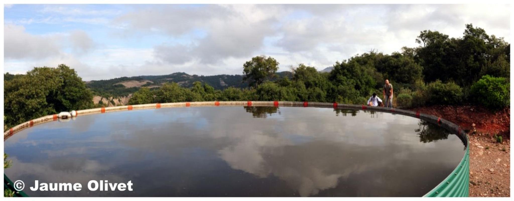 � Jaume Olivet 2012