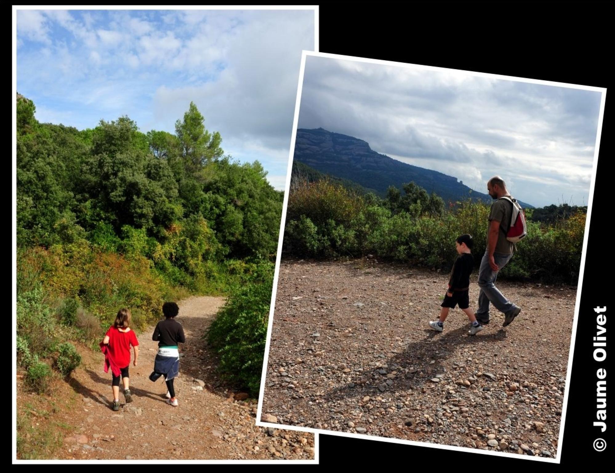 � Jaume Olivet 2012