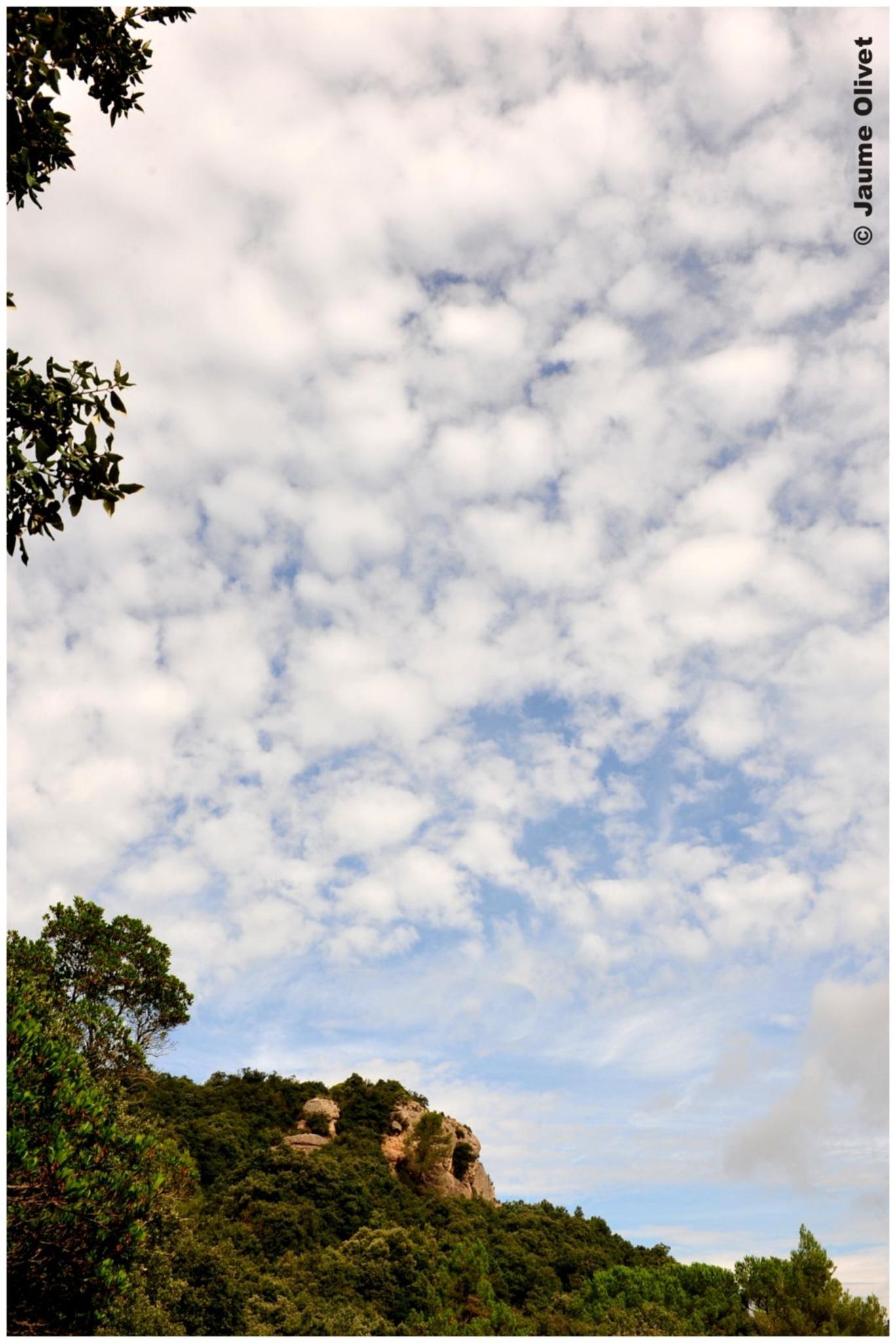 � Jaume Olivet 2012