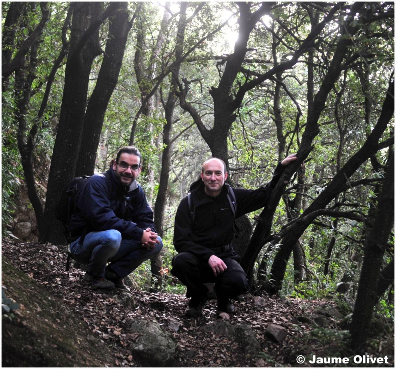 � Jaume Olivet 2012