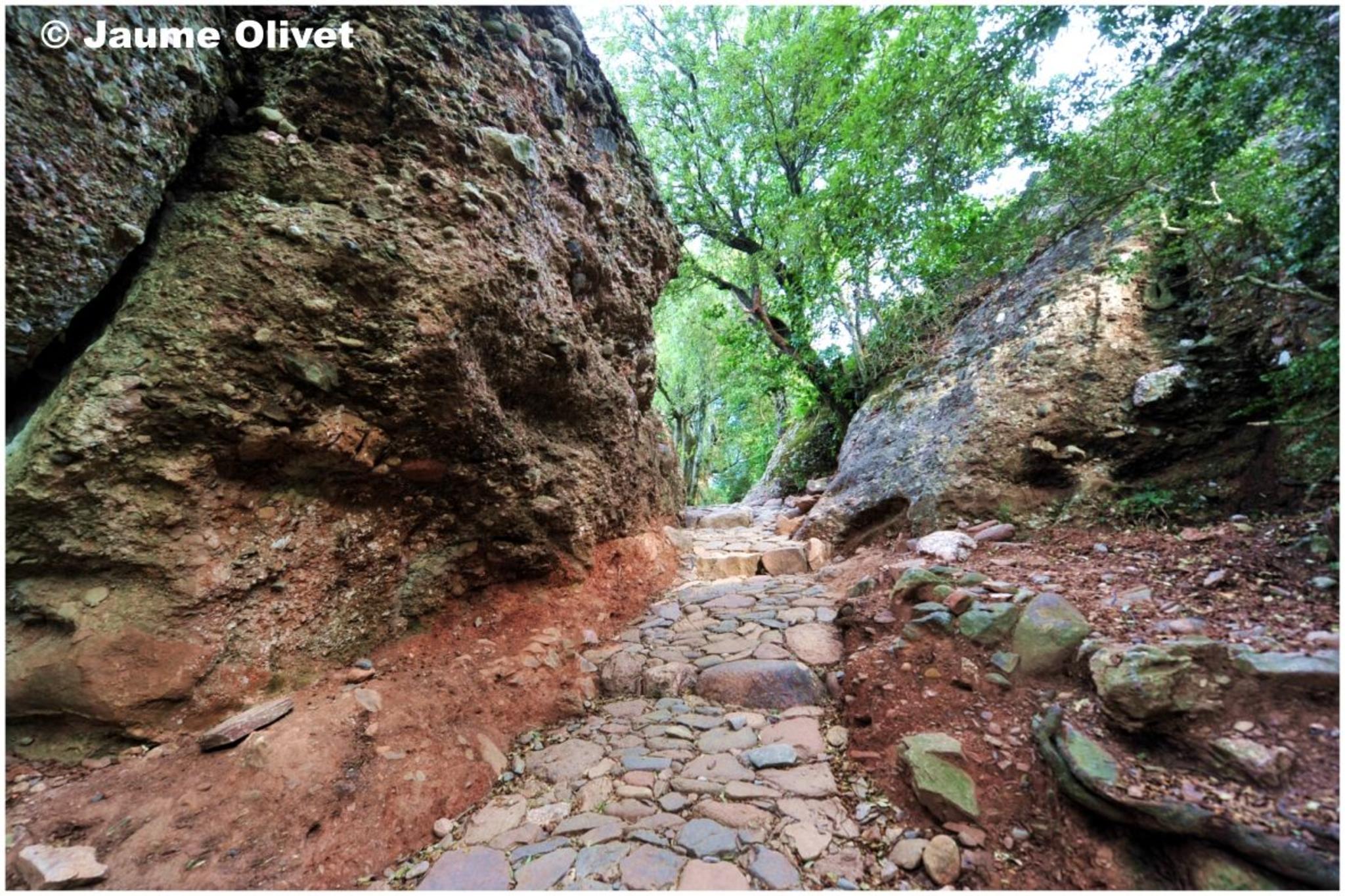 � Jaume Olivet 2012