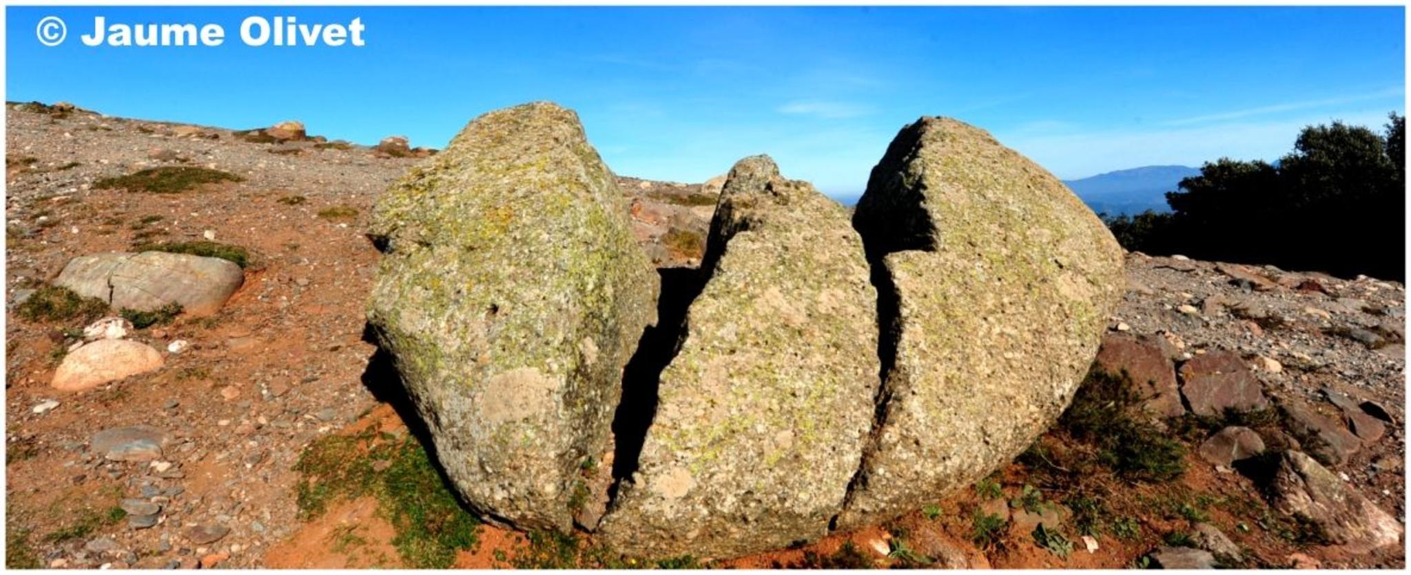 � Jaume Olivet 2012