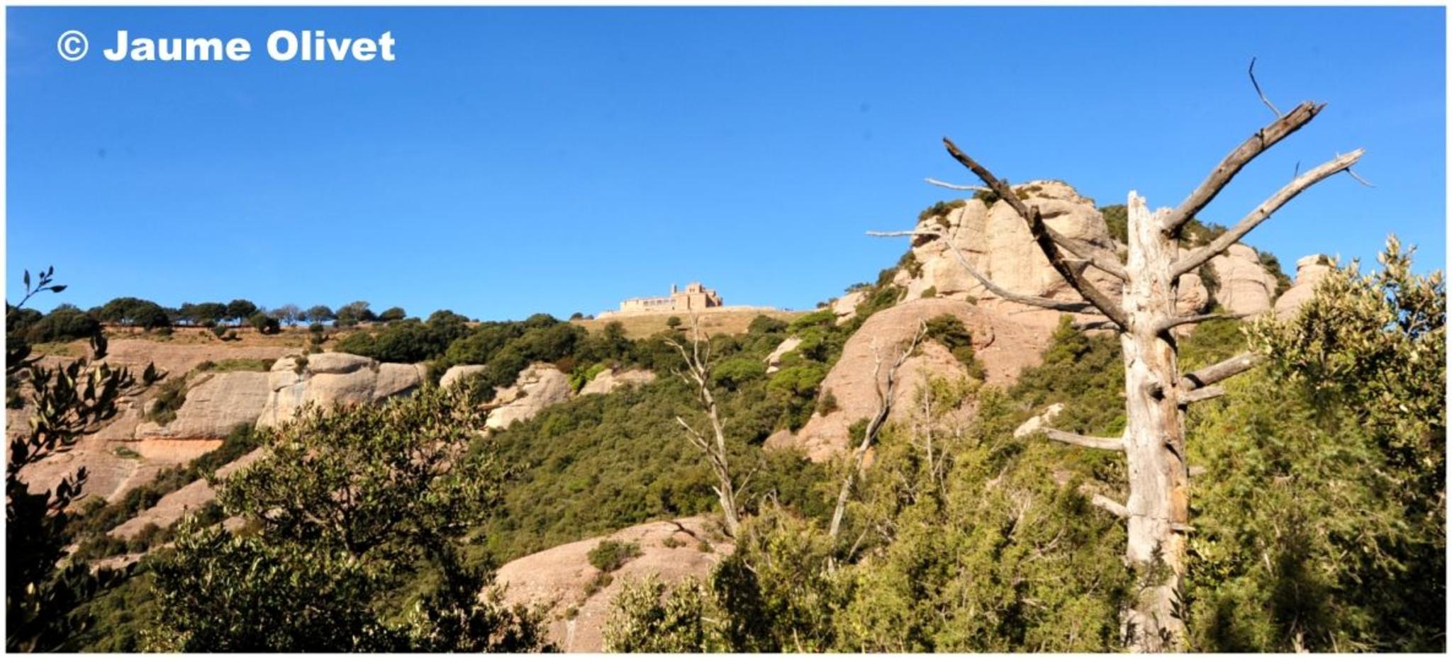 � Jaume Olivet 2012