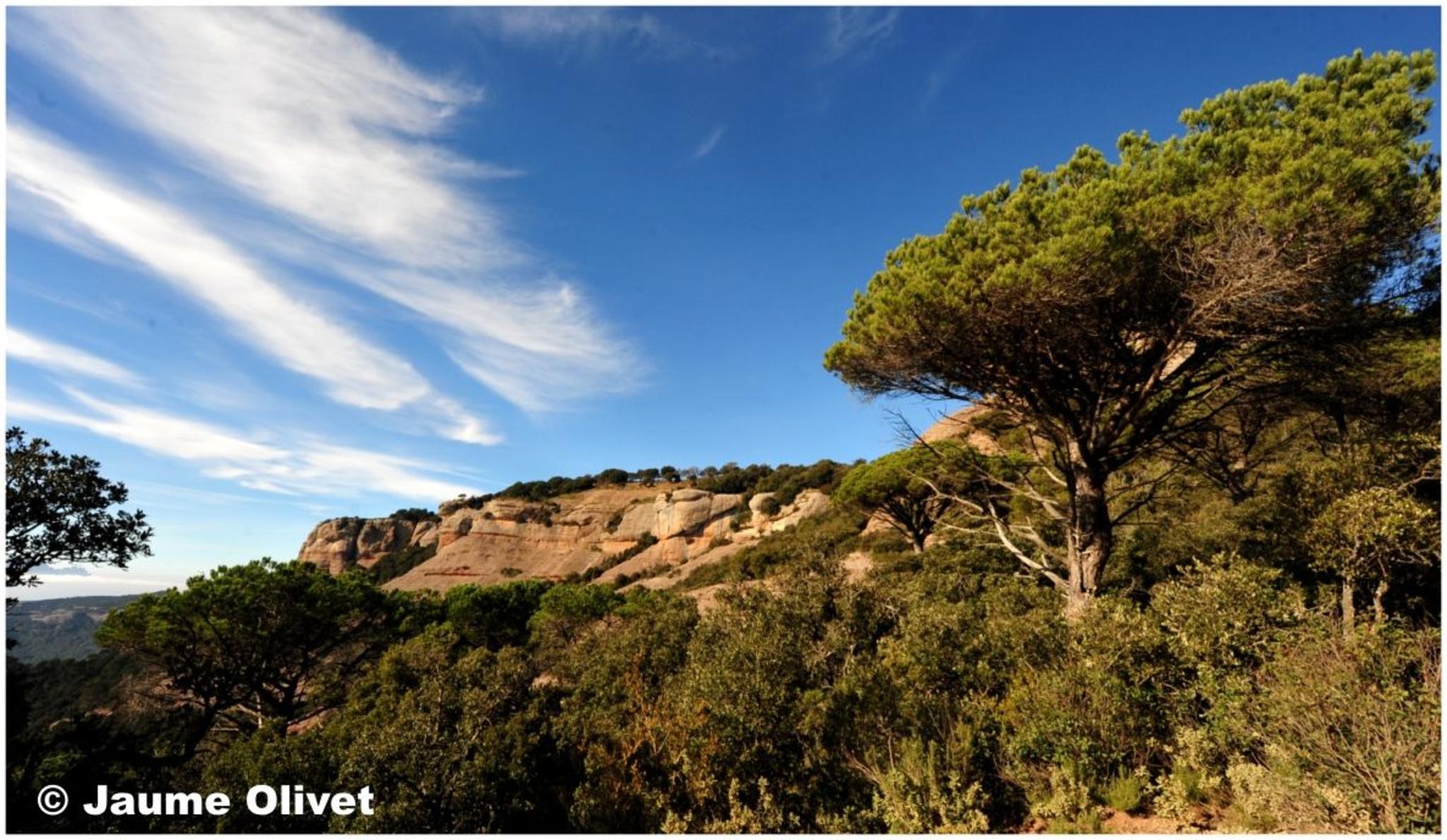 � Jaume Olivet 2012