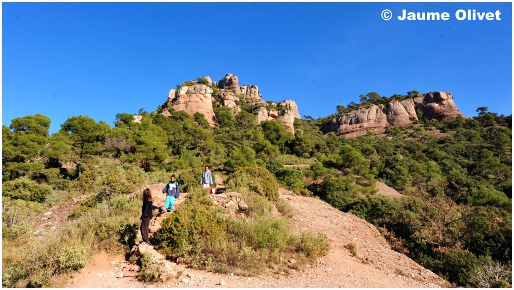 � Jaume Olivet 2012