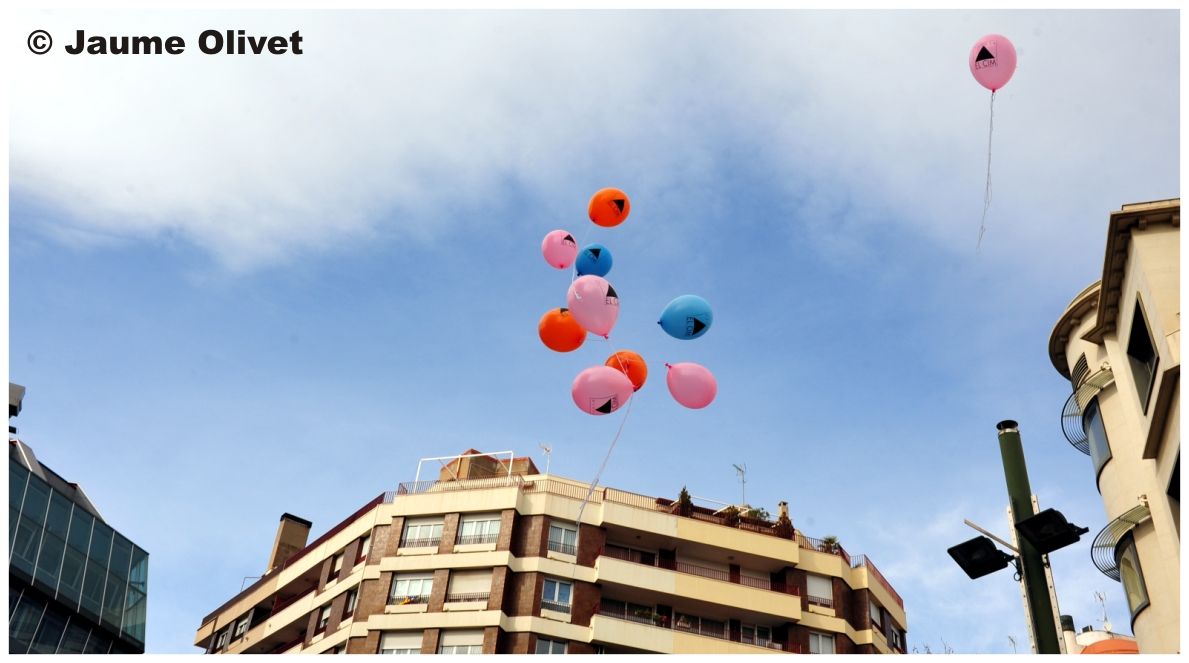 � Jaume Olivet