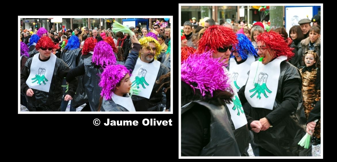 � Jaume Olivet