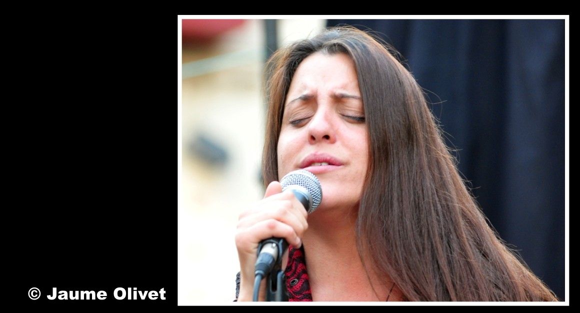 � Jaume Olivet 2013