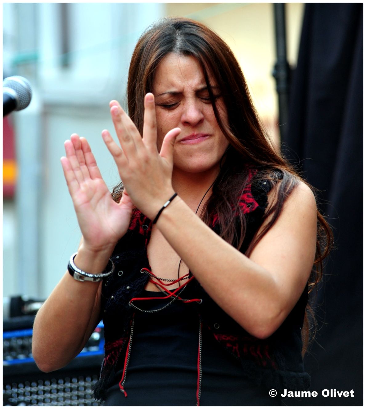 � Jaume Olivet 2013