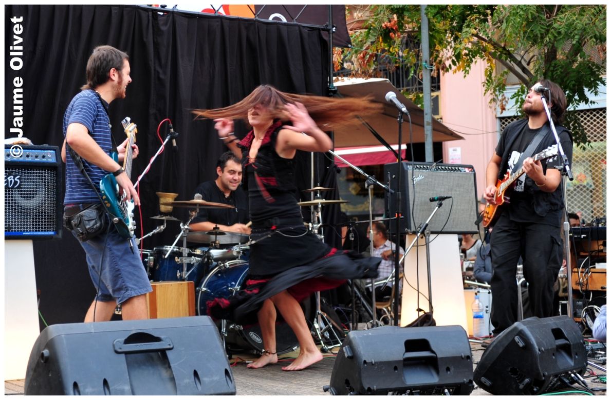 � Jaume Olivet 2013