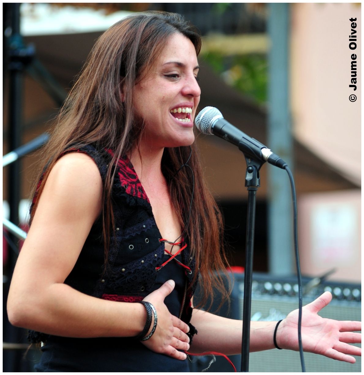 � Jaume Olivet 2013