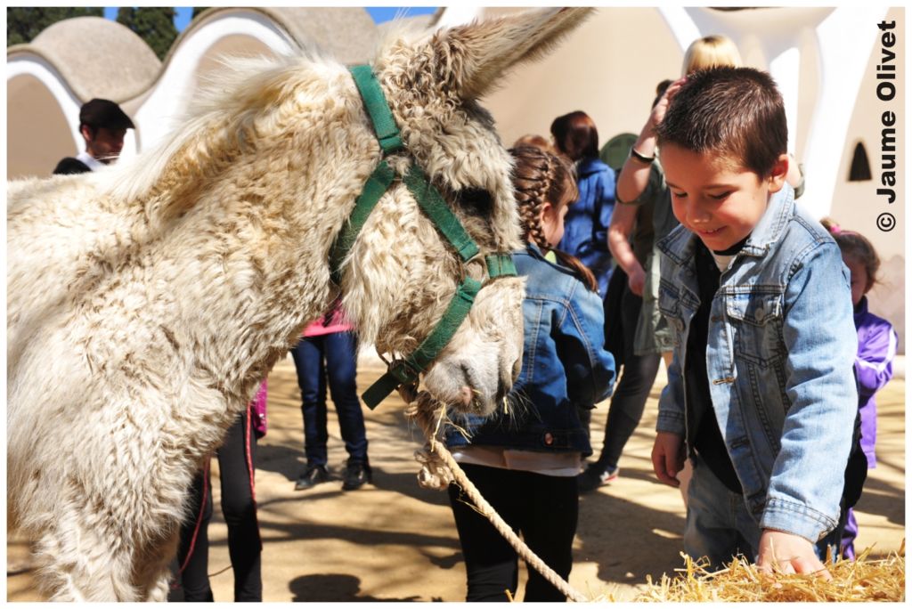 Culturassa 2013 F0203 � Jaume Olivet
