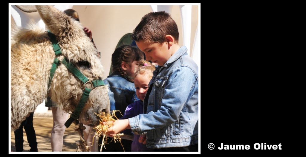 Culturassa 2013 F0204 � Jaume Olivet