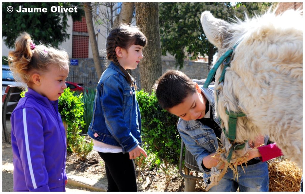 Culturassa 2013 F0205 � Jaume Olivet