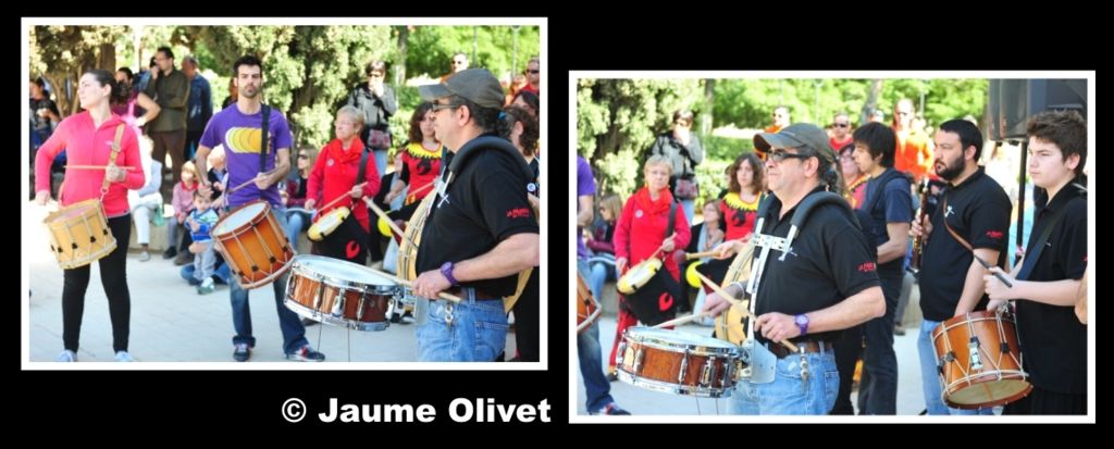 Culturassa 2013 F0304  Jaume Olivet